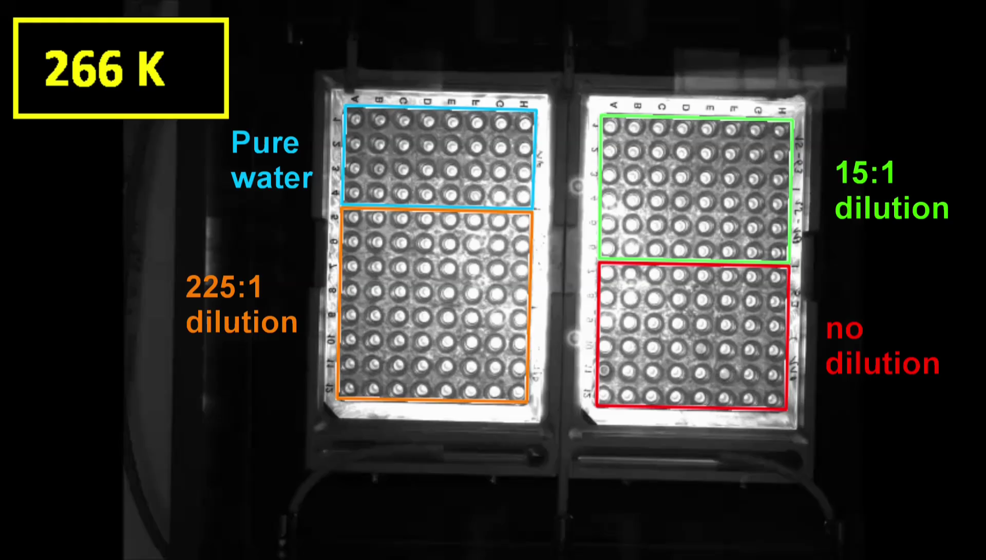 Freezing experiment with INSEKT using pure water and an aerosol suspension in three different dilutions. Freezing of the wells can be seen by the change of their brightness.